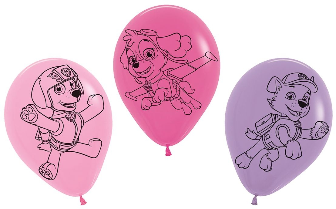 Paw Patrol - 5 Latexballons