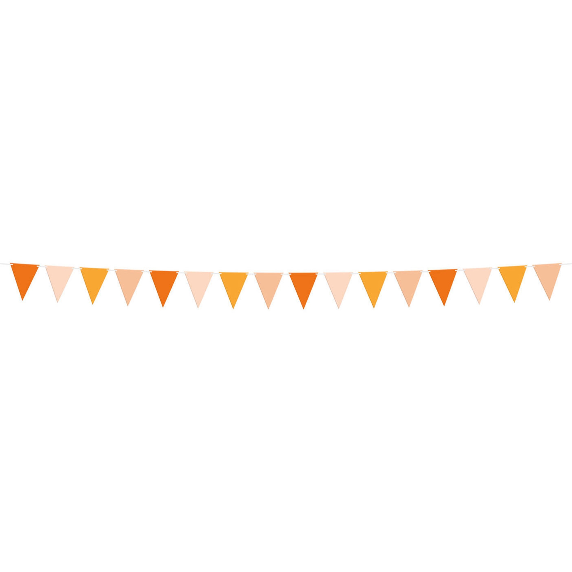 Flaggenbanner "Orange" 6m